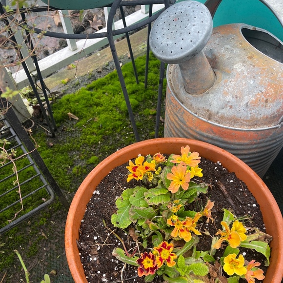 Meet your Posher, - Picture 1 of 1